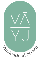 Vayu