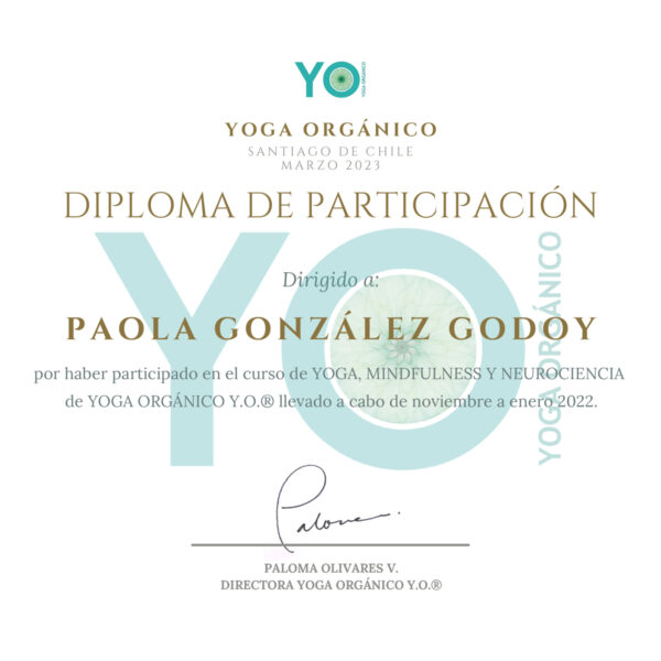 certificacion-paola-gonzales-2